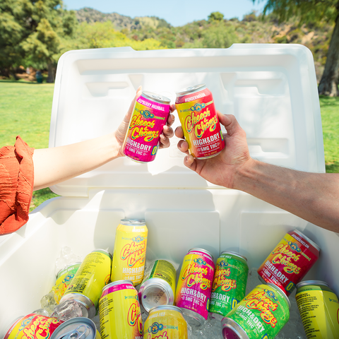 Cheech and Chong's High & Dry THC Infused Seltzer Water - Raspberry Highball