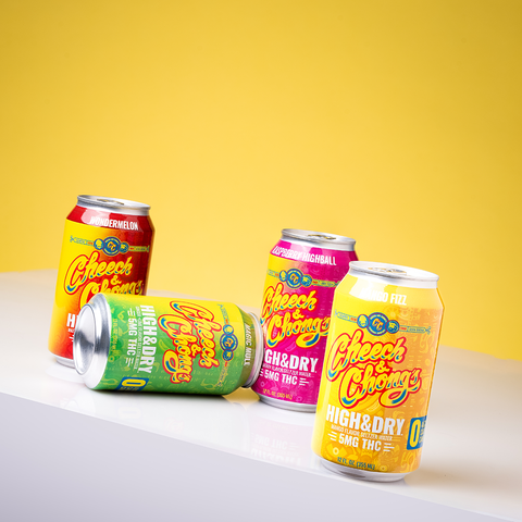 GET BUZZED WITHOUT THE NEXT-DAY BACKLASH WITH HIGH & DRY THC INFUSED SELTZER - WONDERMELON