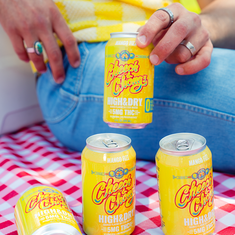 GET BUZZED WITHOUT THE NEXT-DAY BACKLASH WITH HIGH & DRY THC INFUSED SELTZER - MANGO FIZZ