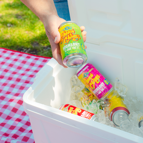 GET BUZZED WITHOUT THE NEXT-DAY BACKLASH WITH HIGH & DRY THC INFUSED SELTZER - MANGO FIZZ