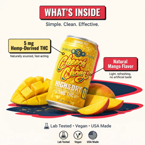 High & Dry Delta-9 THC Seltzer - Mango Fizz (4-pack, 20 mg)