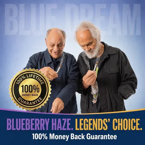 Blazers Blue Dream Mini THCa Prerolls (5-pack, 3.75g TW)