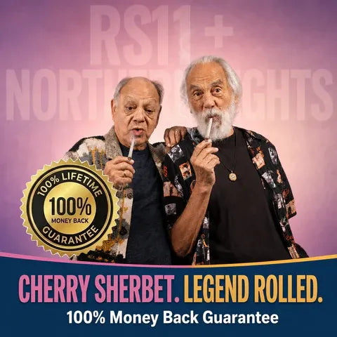 Blazers RS11 + Northern Lights Mini THCa Prerolls (5-pack, 3.75g TW)